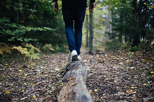 Welcome. First Steps into Therapy